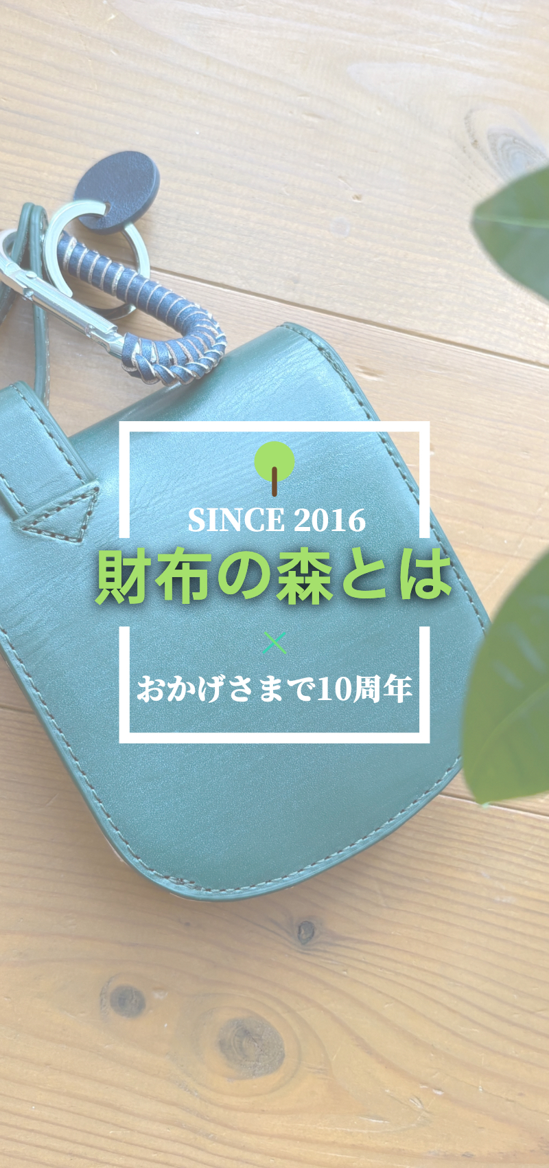 財布の森とは(説明画像)